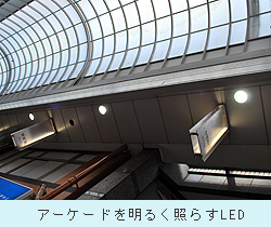 0313_kawabata_3.jpg