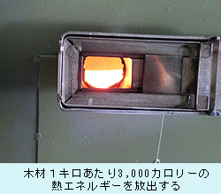 0423_b_3.jpg