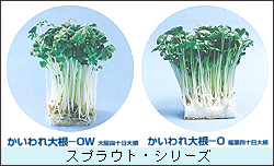 0531_kaiwaredaikon1.jpg