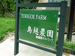 0925_torigoe.jpg