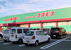 kosumosu1.jpg