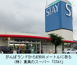 STAY.jpg