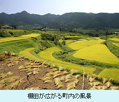 棚田が広がる町内の風景