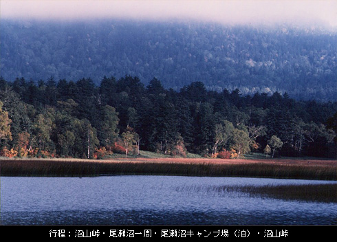 尾瀬沼のほとり