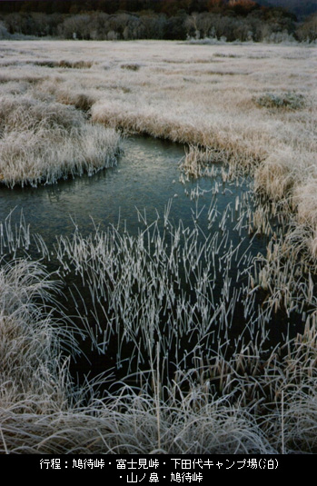 行程:鳩待峠・富士見峠・下田代キャンプ場(泊)・山ノ鼻・鳩待峠