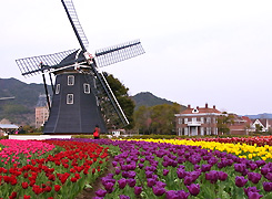 huistenbosch.jpg