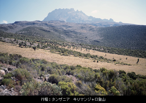 行程：タンザニア　キリマンジャロ登山