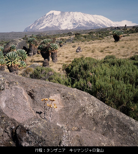 行程:タンザニア キリマンジャロ登山