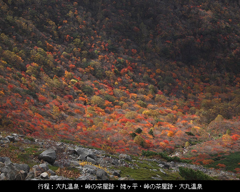 行程：大丸温泉・峠の茶屋跡・姥ヶ平・峠の茶屋跡・大丸温泉