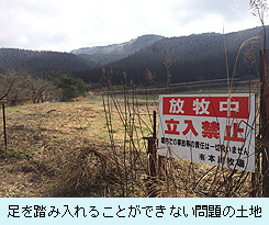 足を踏み入れることができない問題の土地