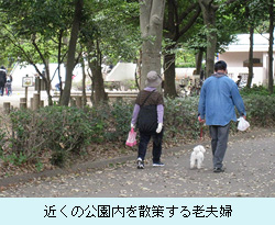 近くの公園内を散策する老夫婦