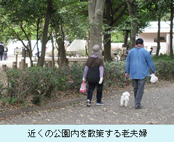 近くの公園内を散策する老夫婦