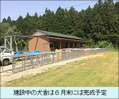 建設中の犬舎は６月末には完成予定