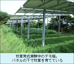 牧草育成実験中のデモ機。パネルの下で牧草を育てている.JPG