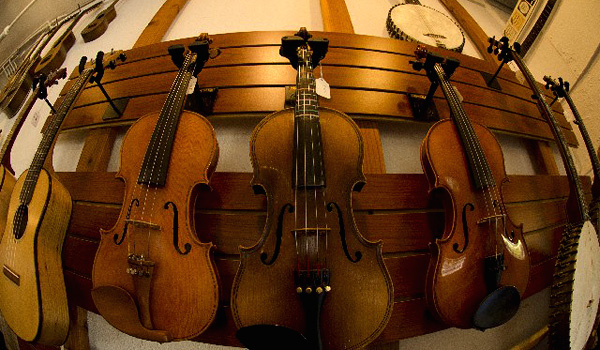 violin