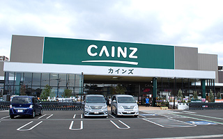 cainz1