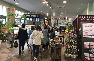 カインズ福岡新宮店オープン 開店前から数百人が列をなす Netib News