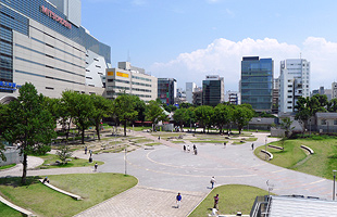 fukuoka_kego