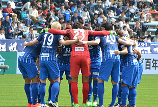 avispa2