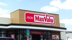 maxvalu