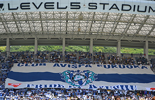 avispa