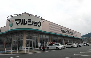 マルショク今宿店