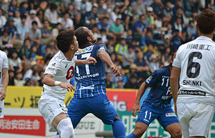 avispa3