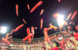 carp