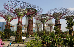 singapore3