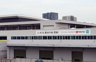 toyosu