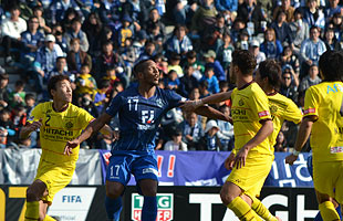 avispa4