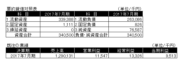 要約貸借対照表／既往の業績