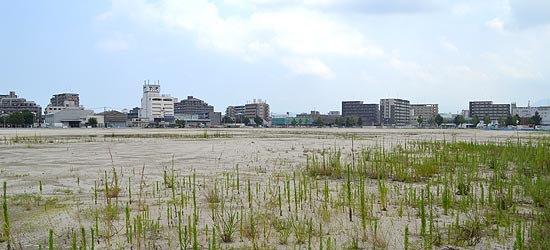 広大な「青果市場跡地」