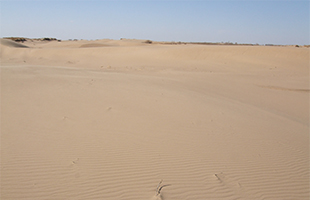 誤った人間活動が引き起こす地球の砂漠化 中 公式 データ マックス Netib News
