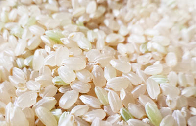 ポリフェノールの一種であるフェルラ酸は、お米の胚芽や植物の細胞壁に含まれる