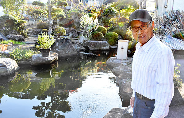 庭園の池には鯉も泳ぐ