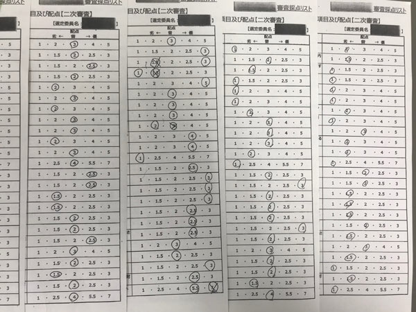 他の採点結果にはばらつきがある