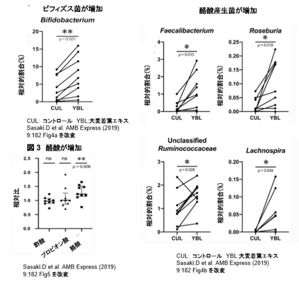 https://www.data-max.co.jp/files/article/20191226-oomugiwakaba-01.jpg