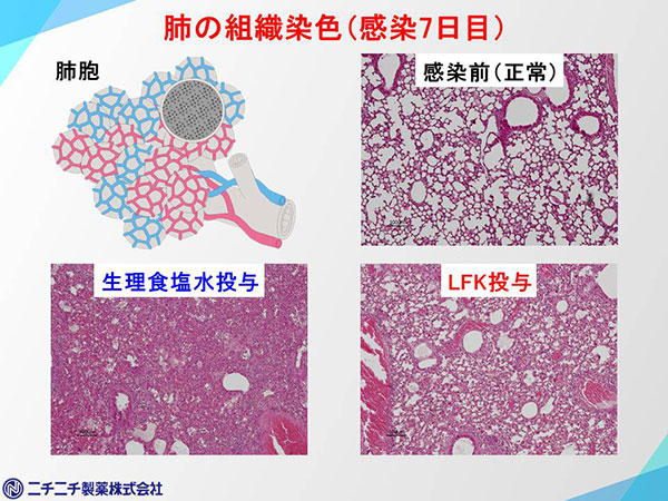 加熱処理乳酸菌fk 23は抗ガンに高い効果 酵素処理乳酸菌lfkはインフルエンザ肺炎軽減やガン転移抑制 公式 データ マックス Netib News