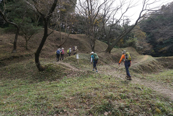 四王寺山周辺を散策するメンバーたち