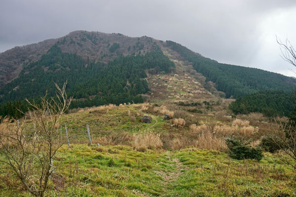層々岐原（そそのきはら）より雷山山頂（955m）　右手の草原が雷山登山道