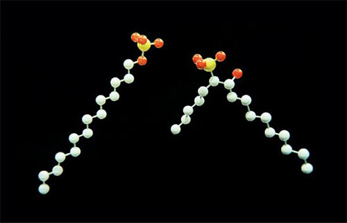 界面活性剤の分子構造モデル。