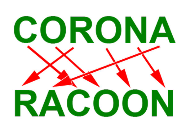 （CORONAの文を入れ替えるとRACOONになるというアナグラム）