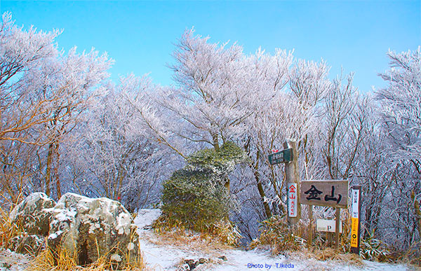 樹氷の花が彩る金山山頂（967m）　2012.2.27 撮影<br>写真集「脊振讃歌II」より