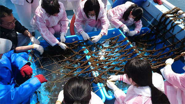 漁師さんと学生たちのふともずく収穫風景