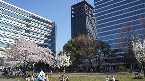 中野区役所（左）とドコモコールセンターが入るビル。花見で賑わう公園も隣接する
