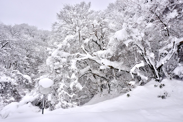 自衛隊道路のすばらしい雪景色