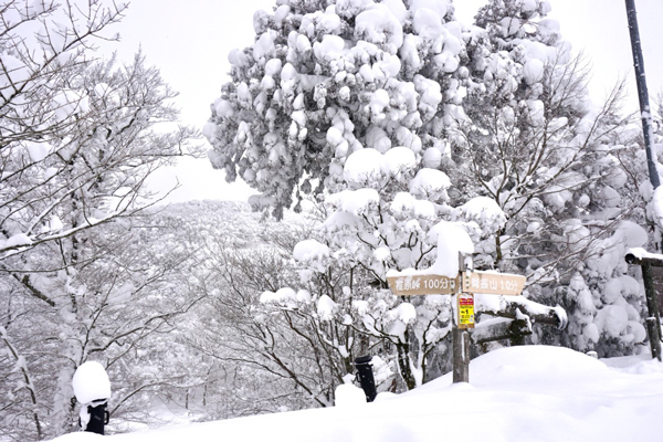 脊振山頂駐車場　道標 NO.1の雪景色 取り付けた蛍光色のレスキュー表示板が輝いていた