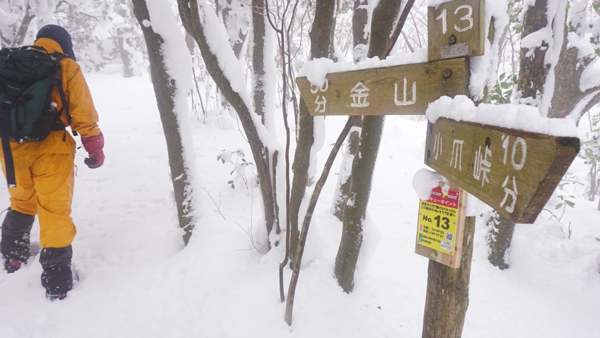 ようやく縦走路に出た。ここから金山山頂へと進む