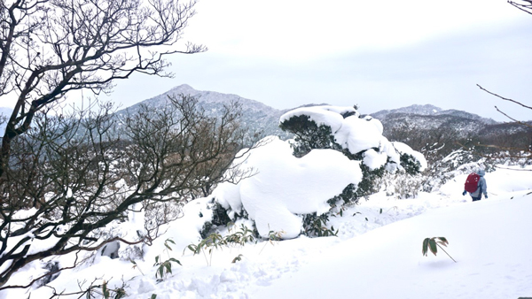 金山山頂（967m）がようやく見えた